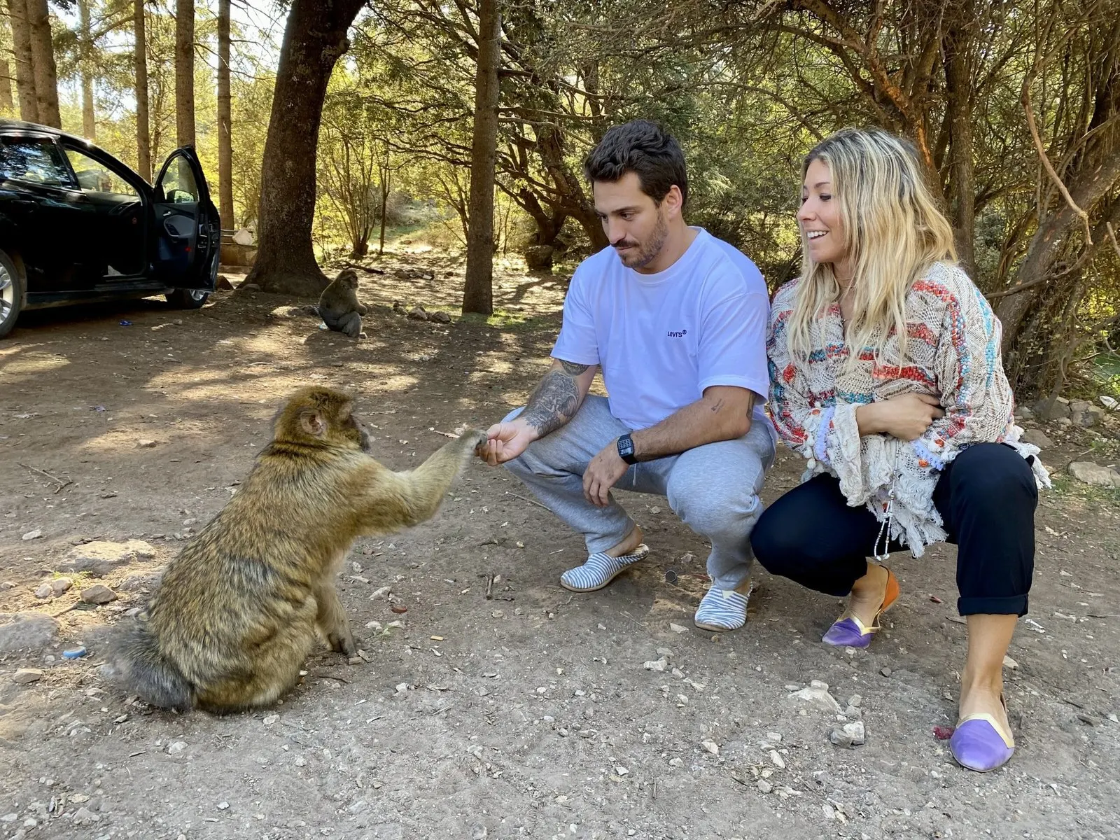 Two travellers crouching beside a Barbary macaque in the cedar forest