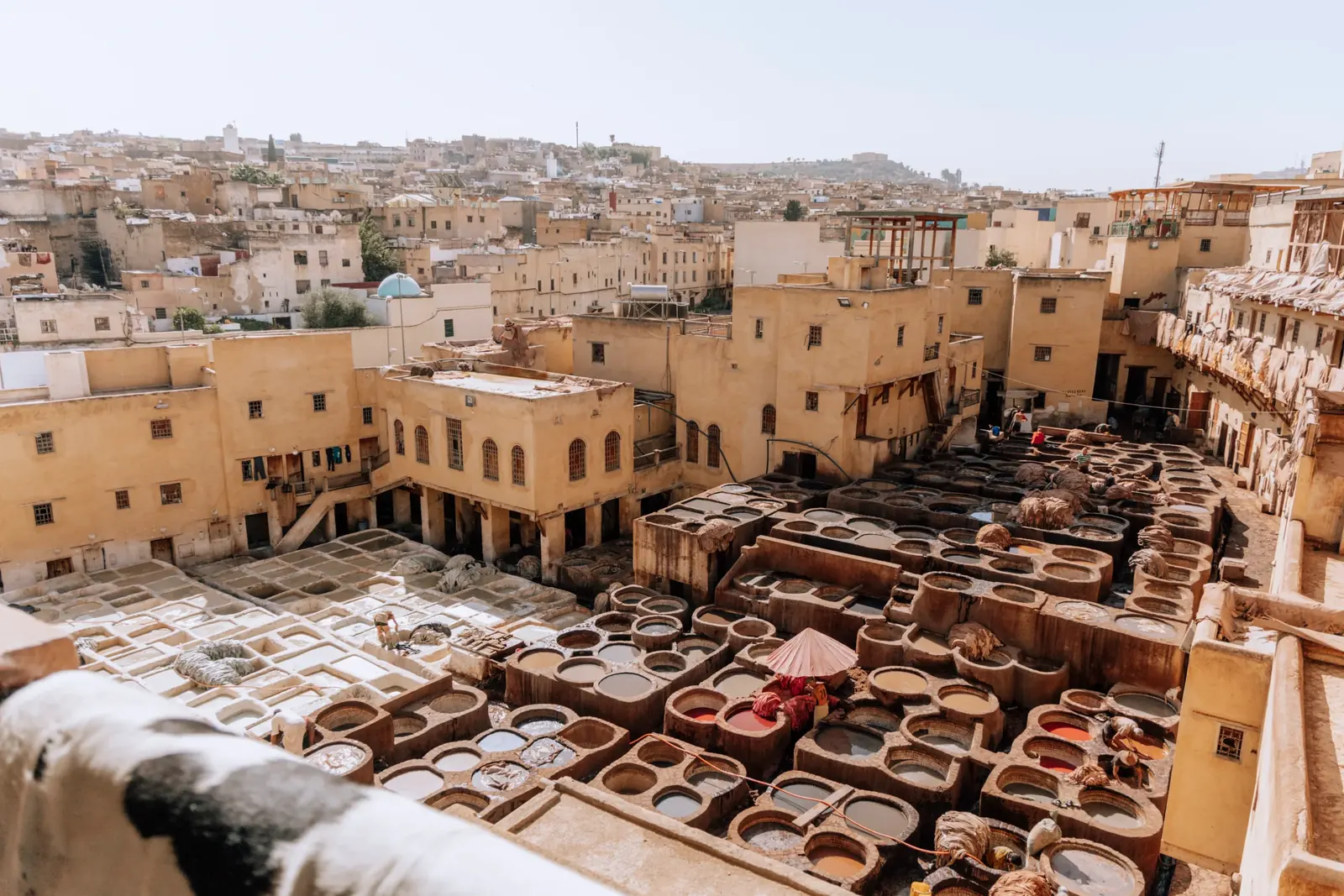 The dye pits of the Chouara tannery in the Fes medina seen from a terrace